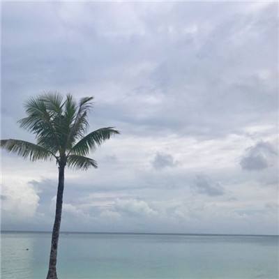 三亿体育app下载